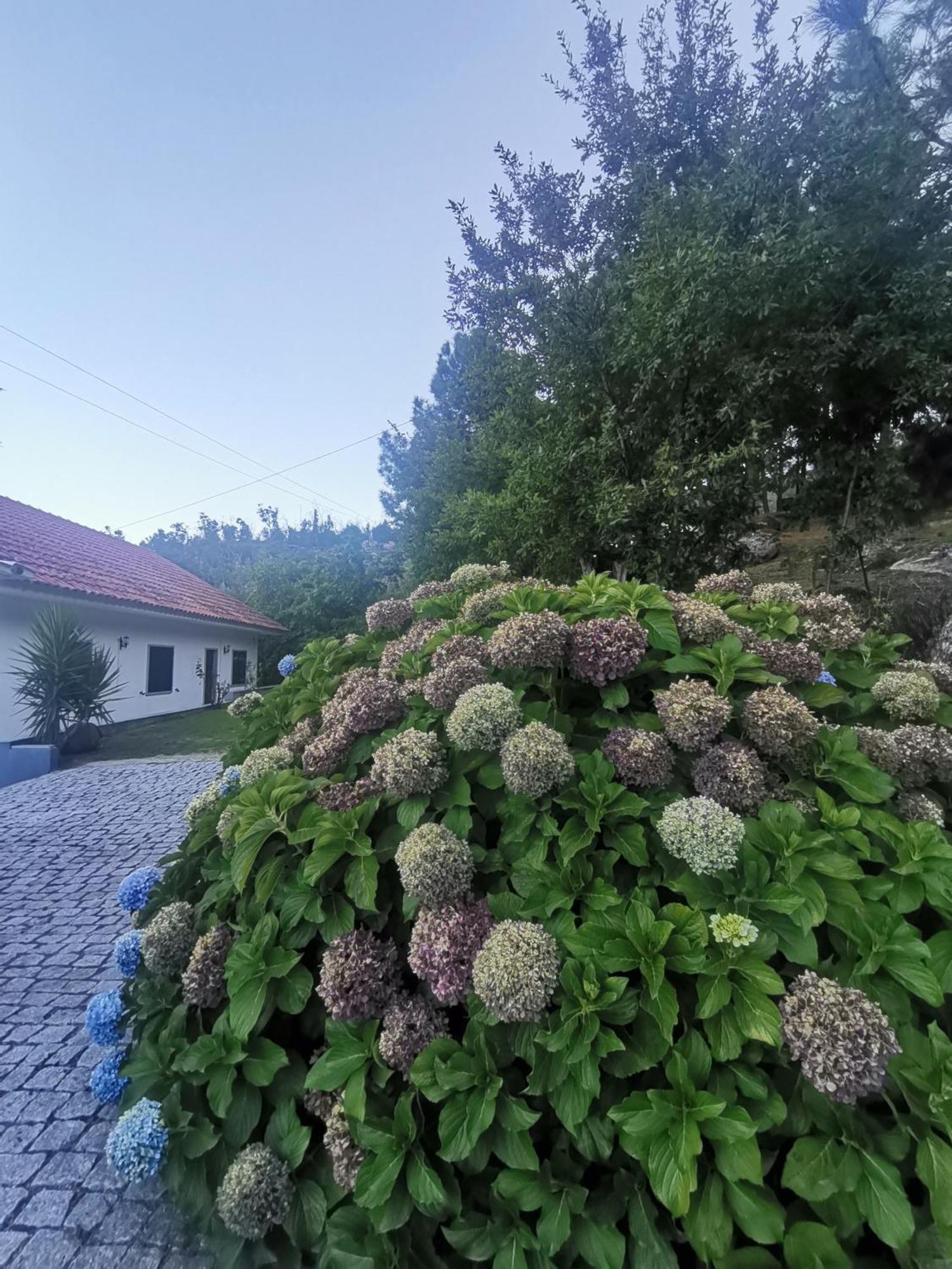 Вилла Quinta Souto Da Ordem - House Castelo Novo Экстерьер фото